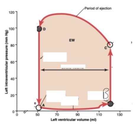 Explain Heart Failure With Reference To Pressure Volume Loops Frank