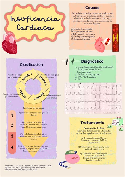 Infografía Infografia Acerca De Insuficiencia Cardiaca Los Datos Más