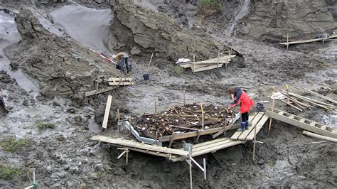 Closest-known ancestor of today's Native Americans found in Siberia | Science | AAAS