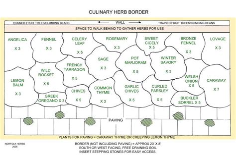 Herb Garden Layout Template