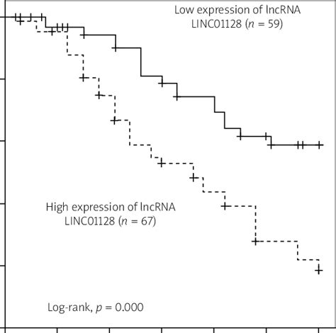 Relative Expression Level Of Lncrna Linc01128 In Normal Tissues And