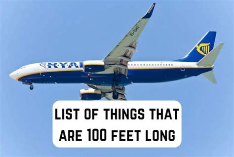 Common Things That Are Feet Big Measuringly