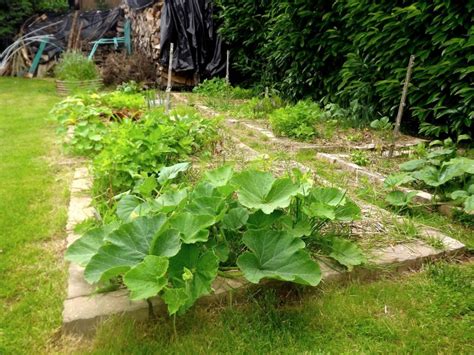 Paillage Au Potager Quand Et Comment Pailler