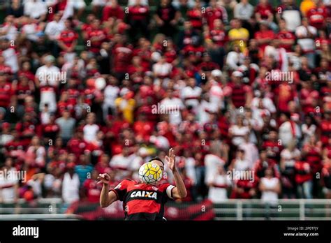 Sao Paulo Sp Brasileiro Flamengo X Santa Cruz