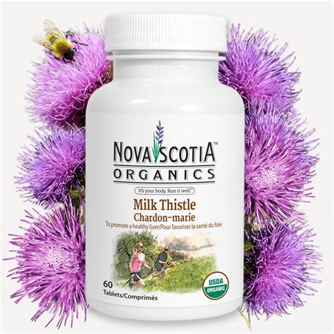 Milk Thistle Nova Scotia Organics