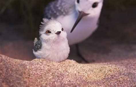 Pixar's new 6-minute movie 'Piper' is absolutely gorgeous. Watch it here!