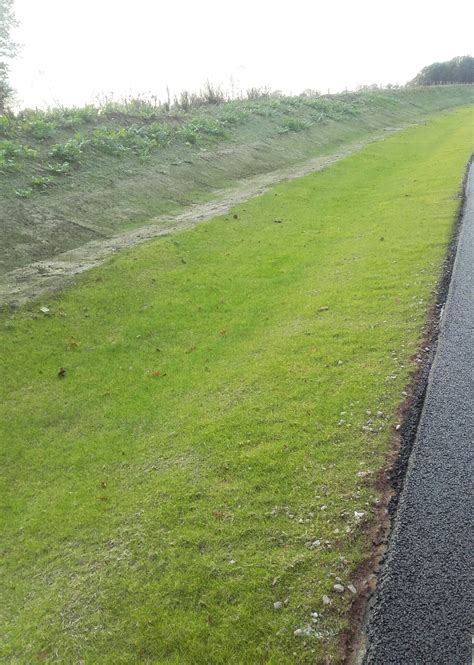 Norwich Northern Distributor Road (NDR) vegetation growth by December