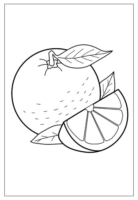 Desenhos De Laranja Para Colorir E Pintar Tudo Para Colorir