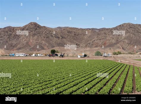 Yuma Arizona Farm Hi Res Stock Photography And Images Alamy