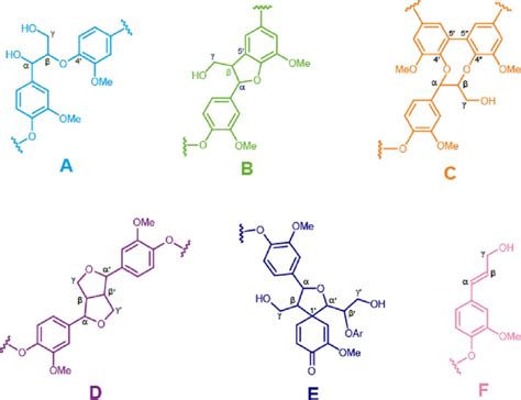 Main Lignin Substructures Identified In The Hsqc Spectra Figs