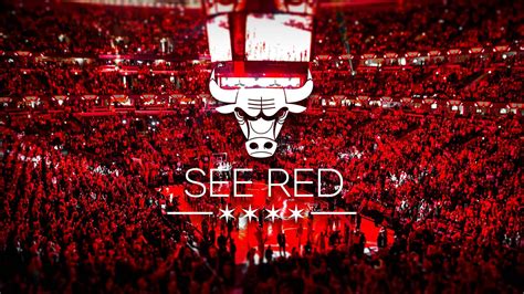 Download Chicago Bulls See Red Wallpaper | Wallpapers.com