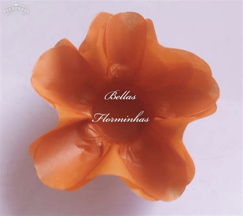 Forminhas Para Doces Flor Aberta Laranja New Elo7