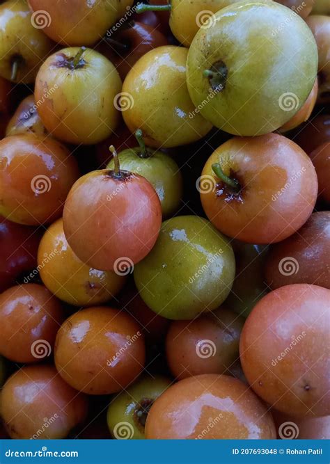 Ber Fruit With Indian And X28 Jujubeand X29 Stock Photo Image Of Jujube