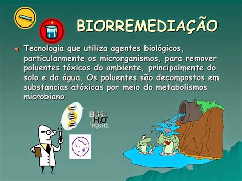 Biboca Ambiental Biorremedia O