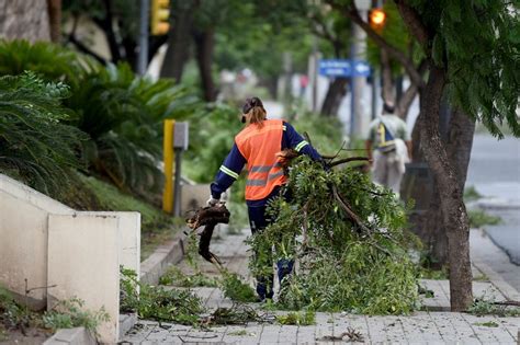 Imágenes De Los Destrozos Que Dejó El Temporal