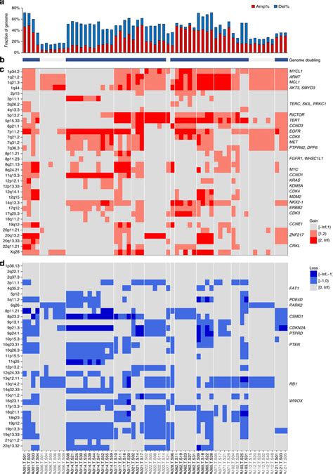 Genomic Instability And Variegated Copy Number Landscape Of Egfr Mutant