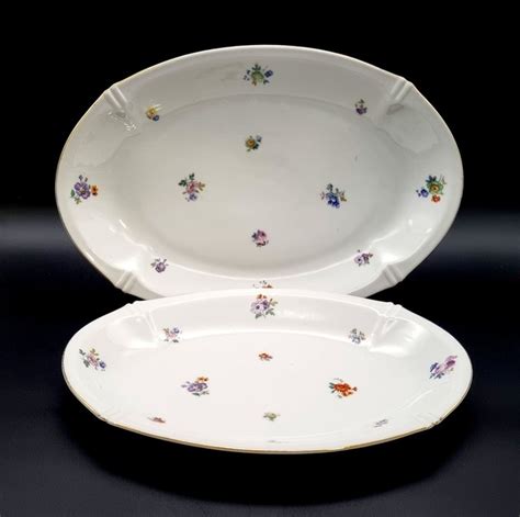 Teichert Werke Stadt Meissen Table Service Floral Pattern X