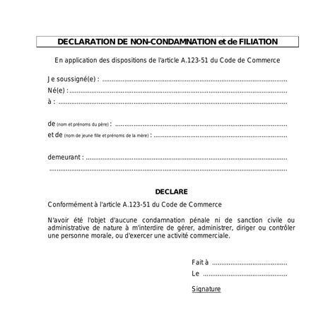 D Claration De Non Condamnation Et De Filiation Pdf Docdroid