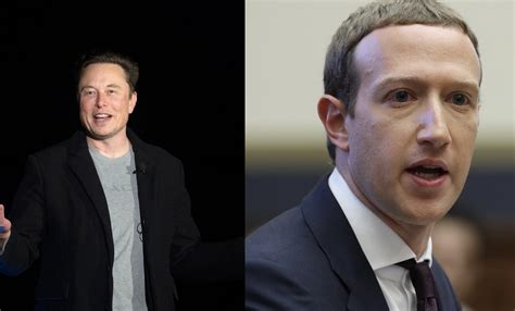 Elon Musk Agrees To Battle It Out With Mark Zuckerberg In Cage Match