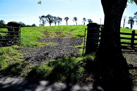 Tree Shadows Letfern Kenneth Allen Cc By Sa 2 0 Geograph Ireland