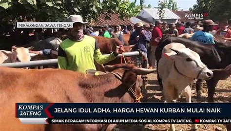 Jelang Idul Adha Harga Hewan Kurban Mulai Naik Video Dailymotion