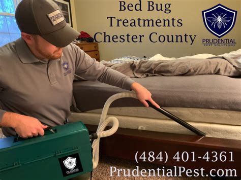 How To Prevent Bed Bugs Prudential Pest Solutions