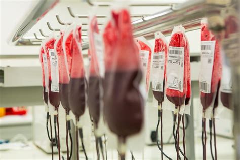 Can Gay Men Donate Blood Marrow Opecwatcher