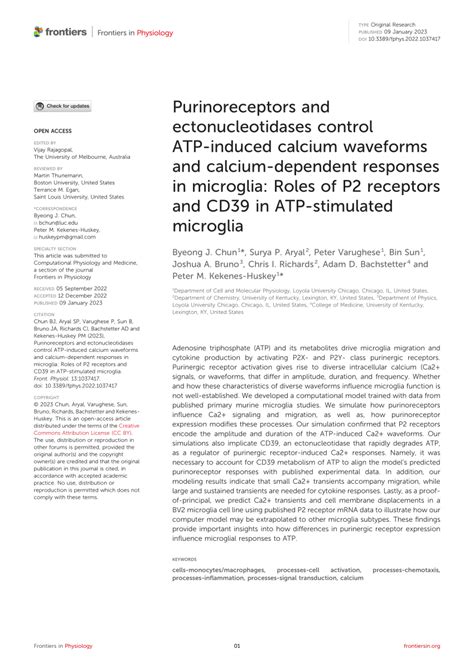 Pdf Purinoreceptors And Ectonucleotidases Control Atp Induced Calcium