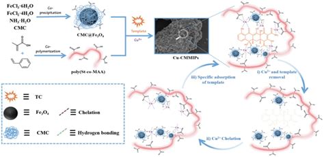 Application Of Molecularly Imprinted Polymers Mips As Environmental