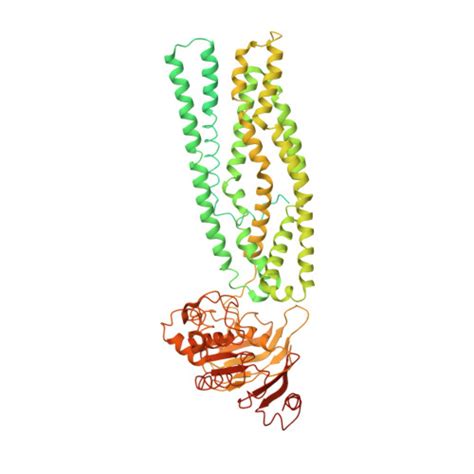 RCSB PDB 7WIW Cryo EM Structure Of Mycobacterium Tuberculosis IrtAB