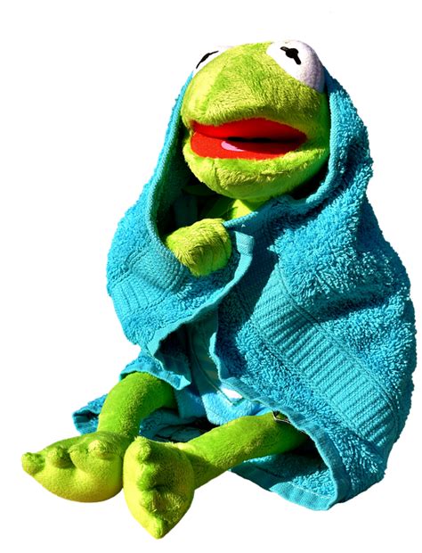 Lustige Bilder Freche Kermit Der Frosch Sprüche Deutsch Kermit