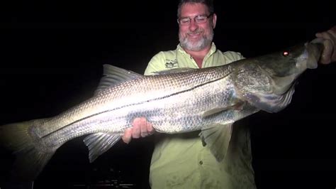 Doug Catching A Big Snook Youtube