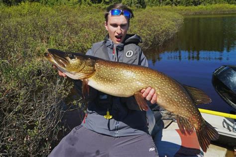 The Best Lures For Pike Fishing SAIL Blog