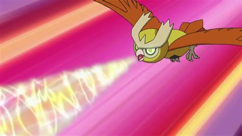 Ash Noctowl Extrasensory | Pokemon, Pokemon indigo league, Ash pokemon