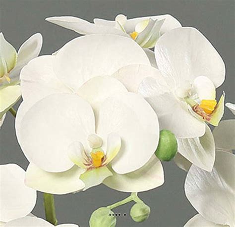 Orchidée phalaenopsis artificielle en coupe céramique H 35 cm du site