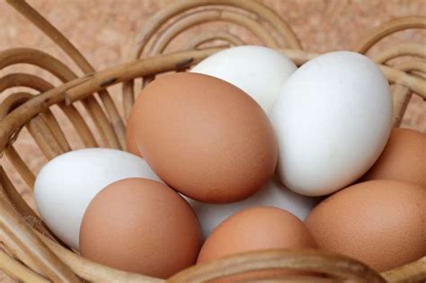 Huevos blancos o marrones cuáles son más nutritivos