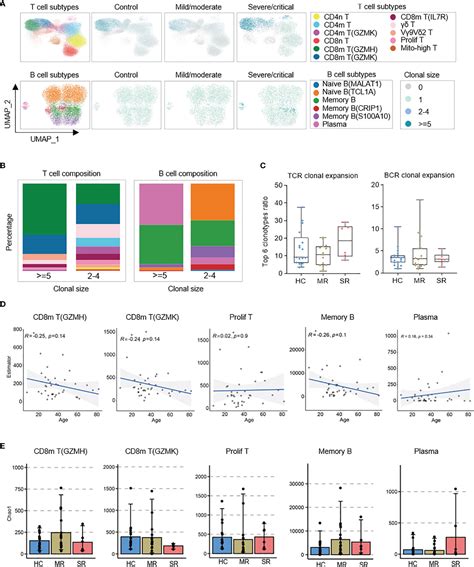 Frontiers Single Cell Analysis Reveals The Immune Characteristics Of Myeloid Cells And Memory