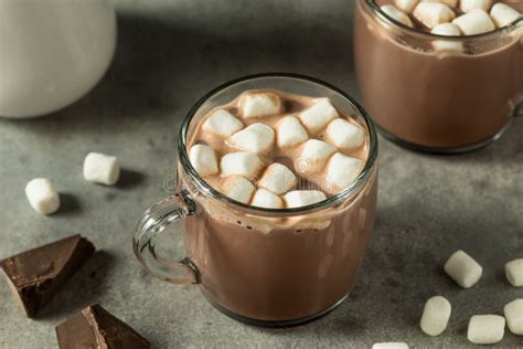 Warm Refreshing Hot Cocoa Chocolate Stock Image Image Of Cocoa Marshmallow