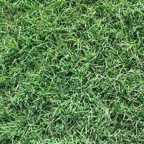 Buy Grass In Houston Tx St Augustine Bermuda And Zoysia The Grass Store