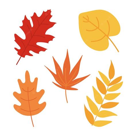 Premium Vector Autumn Leaves Set Isolated On White Background Simple