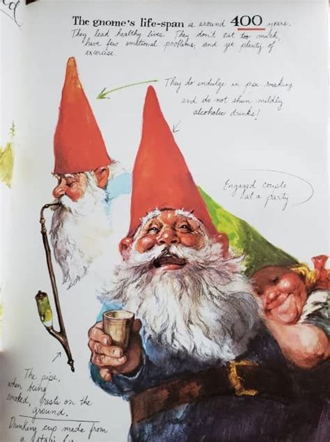 Gnomes Illustrations By Rien Poortvliet Text Wil Huygen David