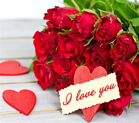 Romantic Love Rose Flowers Photos Best Flower Site