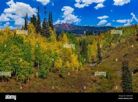 Autumn Colors along Highway 40 over Rabbit Ears Pass Stock Photo - Alamy