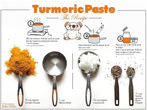 Turmeric Powder Recipes For Dogs