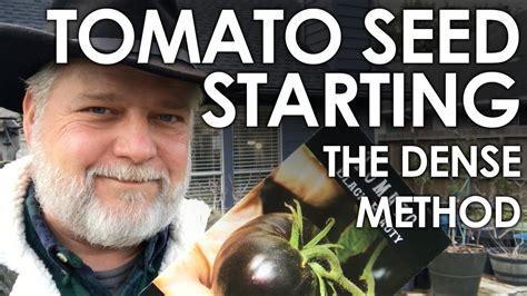 How To Start Tomato Seeds Indoors Densely Black Gumbo Youtube