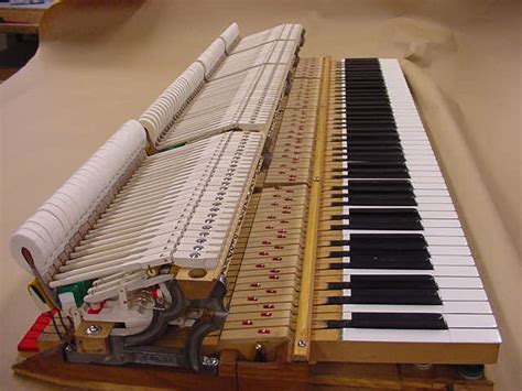 How To Remove Piano Whippen Limoopm