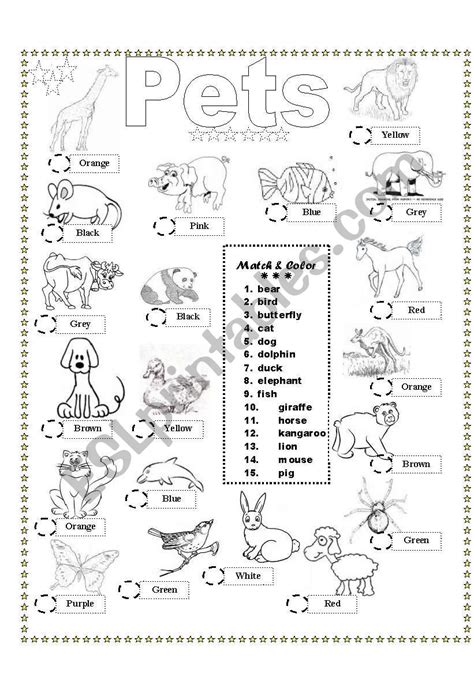 Coloring And Matching Pets Esl Worksheet By Nguyenngocanh