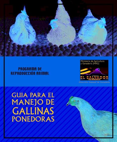 Pdf Guia Para El Manejo De Gallinasmedia Admininhouse Uploads