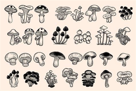 Mushroom Vector Art, Icons, and Graphics for Free Download