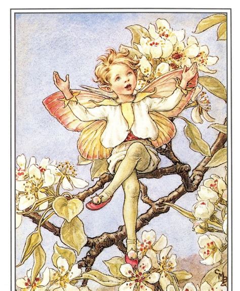 Flower Fairies Of The Trees Cicely Mary Barker Original Vintage 2 Sided